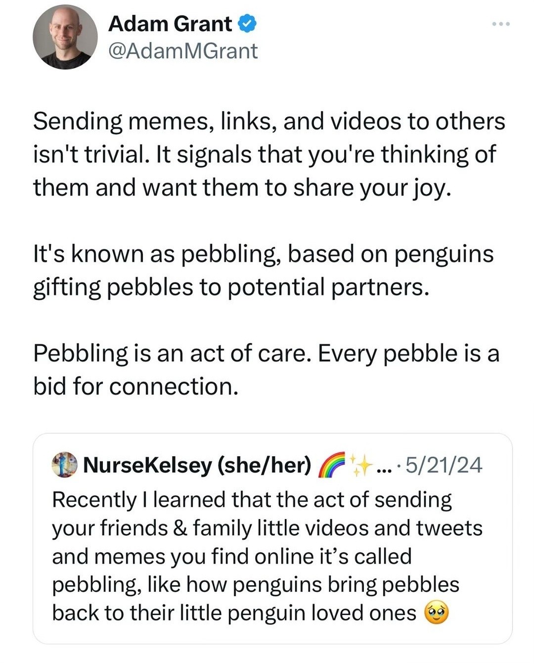 im not spamming, im pebbling