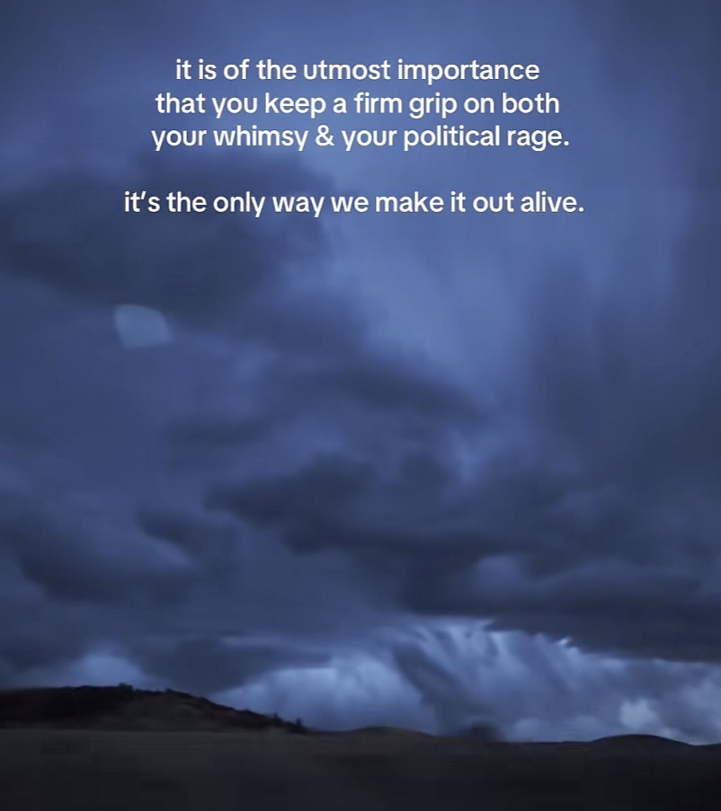 it is of the utmost importance that you keep a firm grip on both your whimsy & your political rage.
it's the only way we make it out alive.
