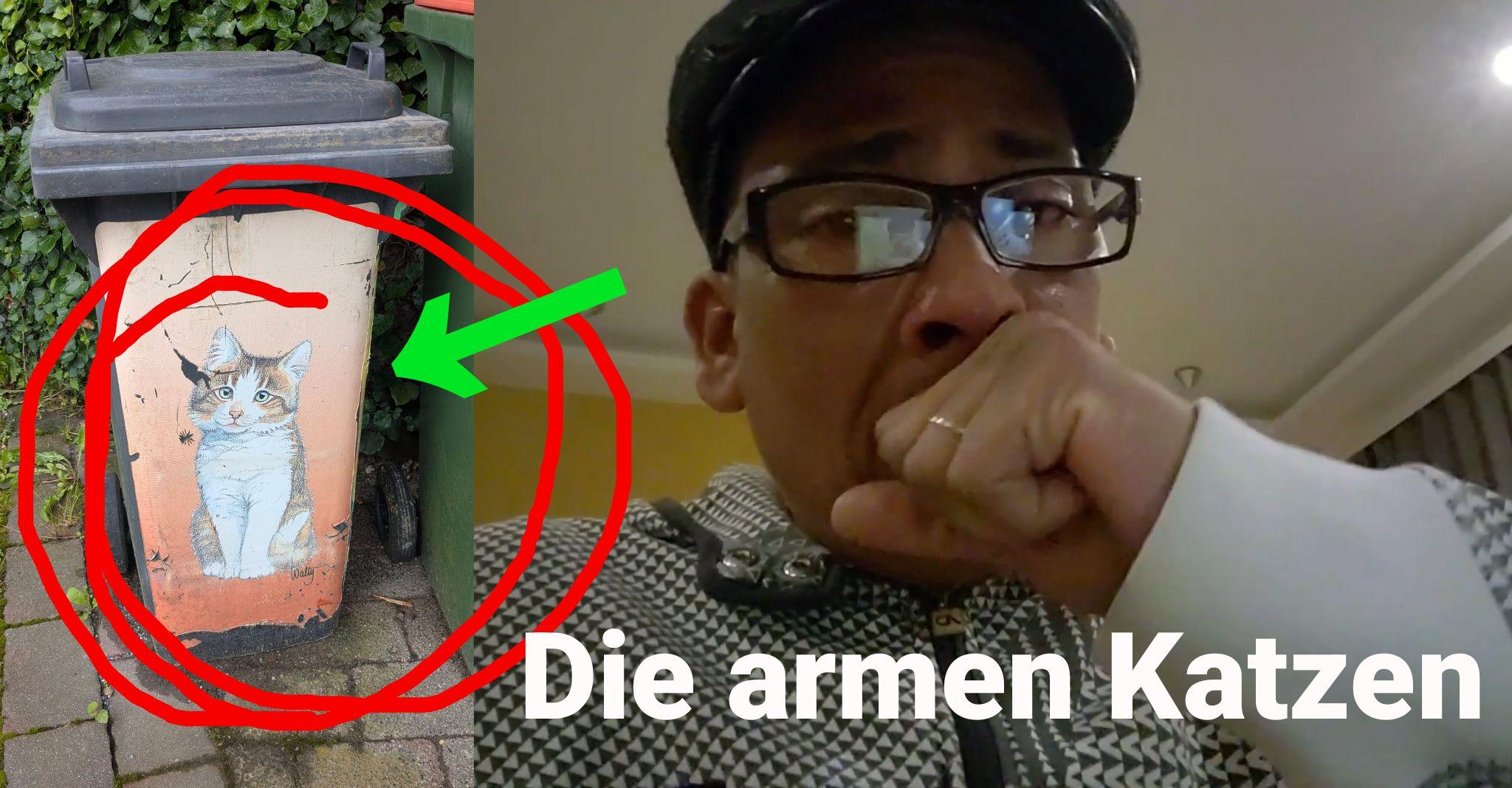 Mülleimer mit Gadsen-Sticker drauf, daneben Xavier Naidoo der um die Gadsen weint, die dort entsorgt werden um Adrenochrom zu gewinnen