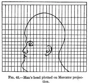Man's head plotted in mercator projection showing deformations 