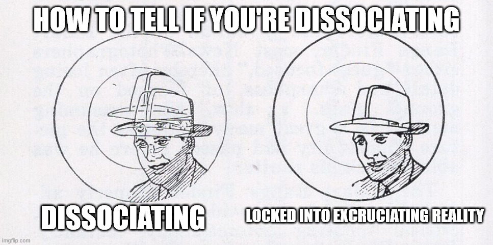 pictured are 2 circles side by side. The one on the left has a picture of a man where the image of him is overlapping himself, the one on the right has him in crisp focus without the double vision. at the top is test that says "How to tell if you're dissociating". Under the left man it says "dissociating" under the right it says "Locked into excruciating reality"