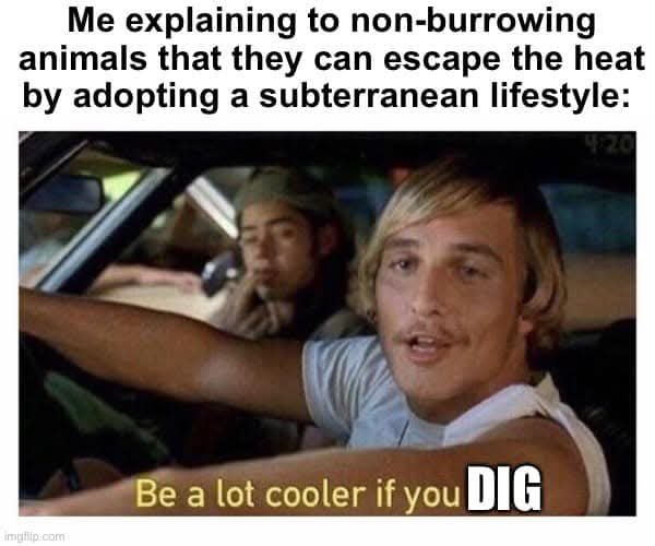 A humorous meme shows a screenshot of the actor Matthew McConaughey in the movie Dazed and Confused. He is in a car, leaning forward, and gesturing with his hand as if he's explaining something to the passenger in the seat behind him, who is only partially visible. The text at the top of the image reads: "Me explaining to non-burrowing animals that they can escape the heat by adopting a subterranean lifestyle:". The text at the bottom of the image, which is a famous line from the movie, reads: "Be a lot cooler if you DIG".