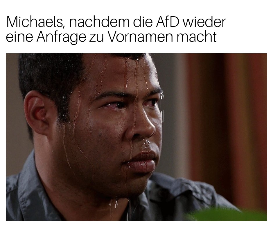 michaels, wenn die afd wieder eine anfrage zu vornamen macht. bild: extrem schwitzender typ