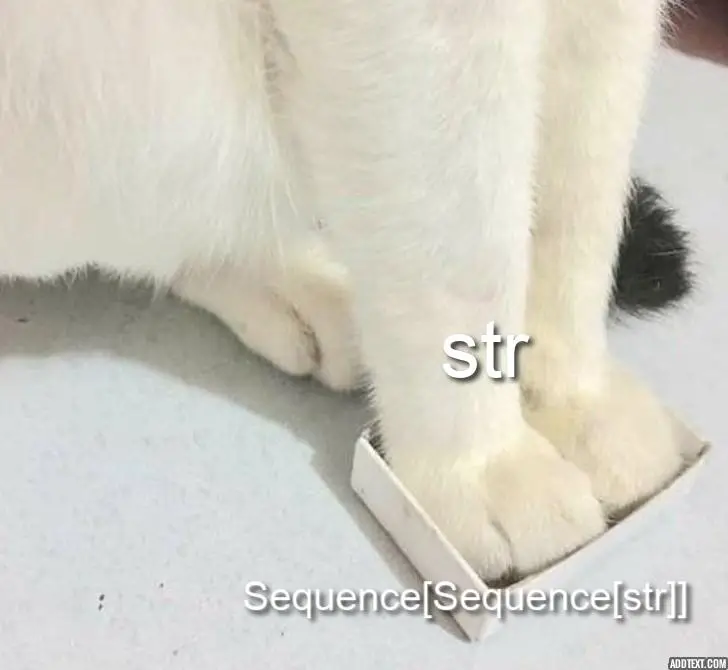 A cat, labeled str, with its paws in a tiny box, labeled Sequence[Sequence[str]]