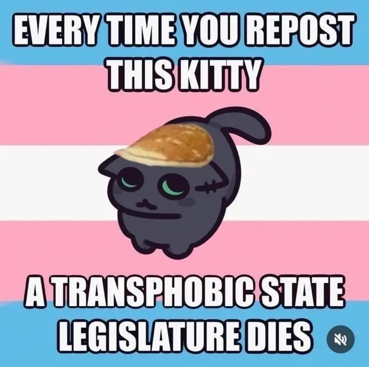 Every time you repost this kittyy, a transphobic state legislature dies
